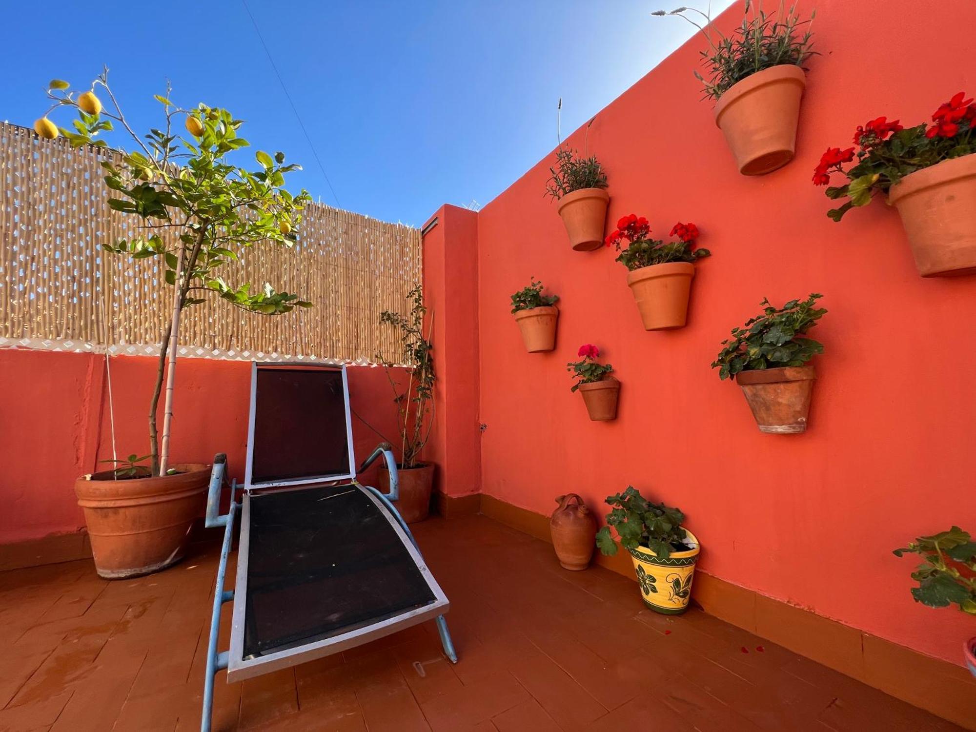 Studio Beach Valencia Eksteriør billede